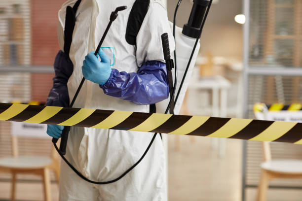 Professional Sewage Cleanup technician working in Santa Clara, UT